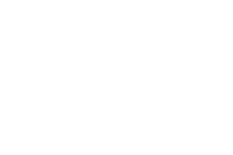DJ Veera